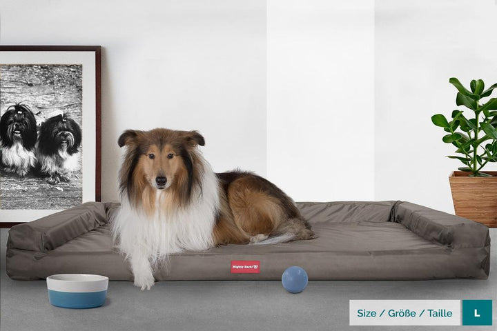 The Bench By Mighty-Bark Orthopedic Memory Foam Dog Bed Large Medium XXL Waterproof Grey
