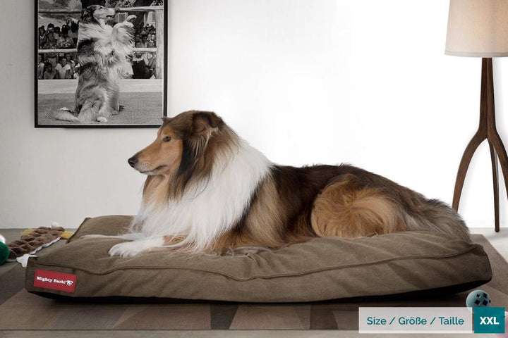 The Mattress Orthopedic Classic Memory Foam Dog Bed - Canvas Earth 02