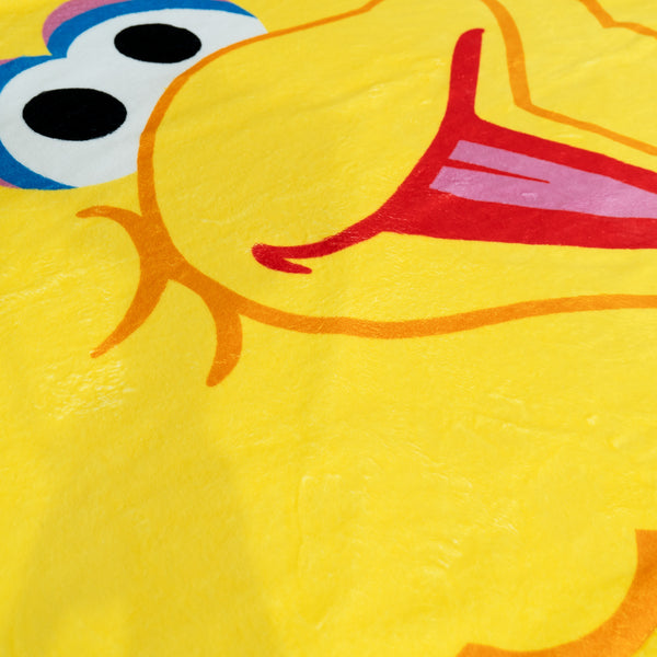 Scatter Cushion Cover 47 x 47cm - Big Bird Fabric Close-up Image