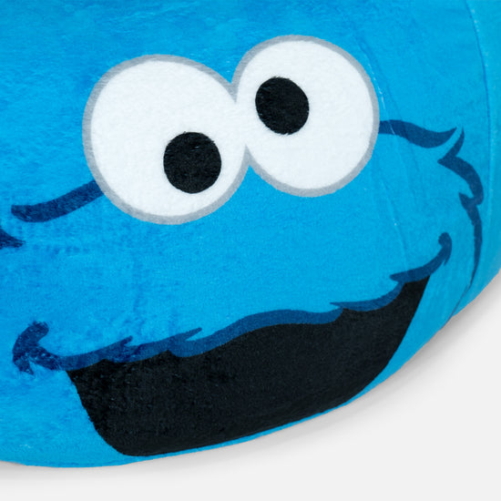 Classic Bean Bag Chair - Cookie Monster 02